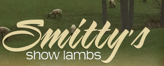 Smitty's Show Lambs